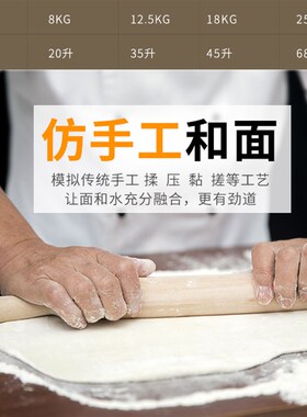 双动双速和面机打面机出膜s10/15/25公斤搅拌机商用打蛋奶油厨师