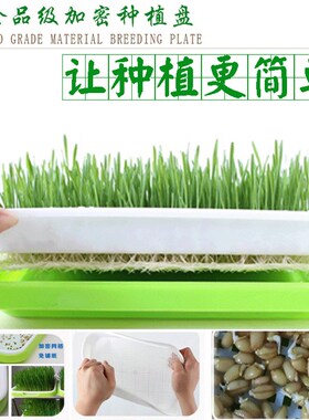 发豆芽菜育苗盘芽苗菜小麦苗种植盘保温带盖种蒜豌豆苗盆栽托无土