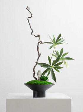 新中式绿植苔藓盆景摆件日式小原流花道插L花艺餐厅茶室样板间摆