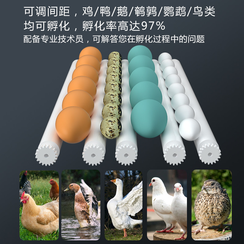 Egg incubator small household fully automatic intelligent incubator box rutin chicken duck goose pigeon quail incubator egg incubator