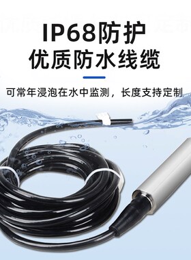 485分体式液位计投入式检测仪传感器水位变送消防水箱水库进口芯