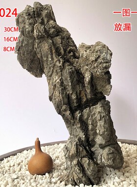 英德石龟纹石造景水旱水陆u缸盆景天然抱树石绿植花盆庭院客厅摆