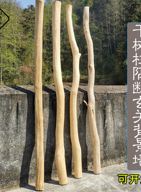 天然干树枝 装饰枯木原木树干客厅玄G关干枝隔断茶室幼儿园背景墙