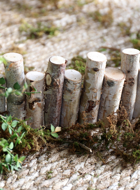 白桦木小栅栏室内花园庭院小篱笆装饰摆件微景观造景围Y栏实木户