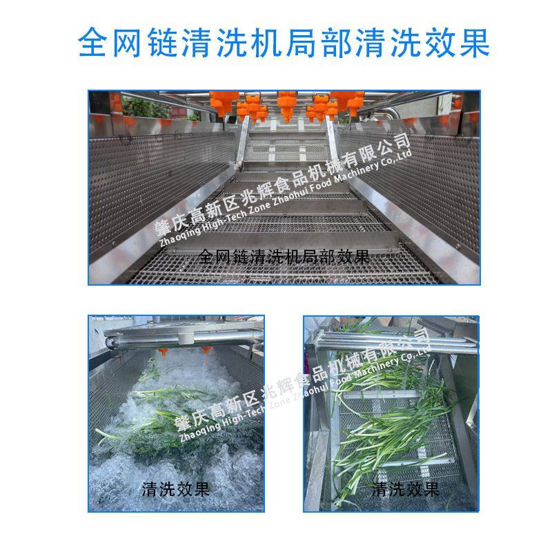 荠菜去泥沙气泡清洗机 速冻果蔬全自动洗菜机 青毛豆清洗速冻设备,淘宝优惠券,粉丝福利购,淘宝优惠卷