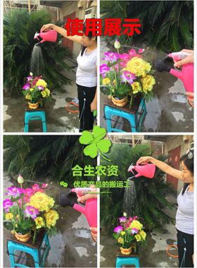 包邮2L两用喷壶水压式喷壶园艺家用洒水壶消毒打药喷雾浇菜花