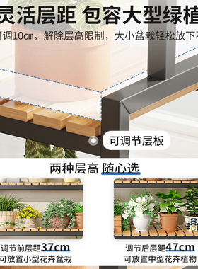 室内花架置物架阳台花架子客厅落地式多层阶梯花架多肉植物花盆架