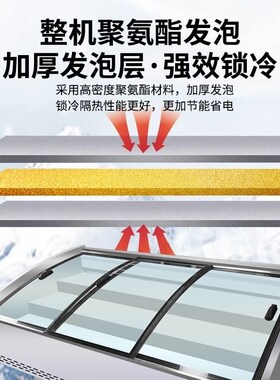 三轮车摆摊冰柜台式冷藏冷冻保鲜展示柜商用点菜炸串烧烤移动冰箱