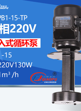 Luikar 洛凯LDPB1-15 Rocoi 线切割机床冷却三单相浸入式循环水泵