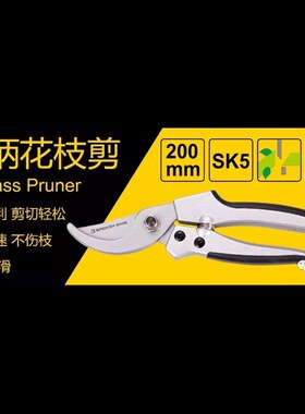 易克不锈钢花枝剪 园艺剪 果枝剪 修枝剪 树枝剪 园林剪刀