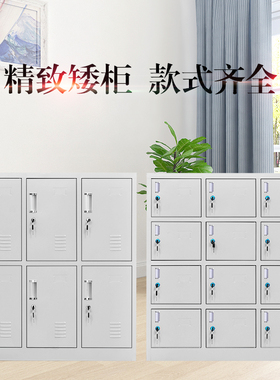 钢制多门矮柜更衣柜铁皮柜6门9门12门储物柜员工宿舍带锁鞋柜碗柜
