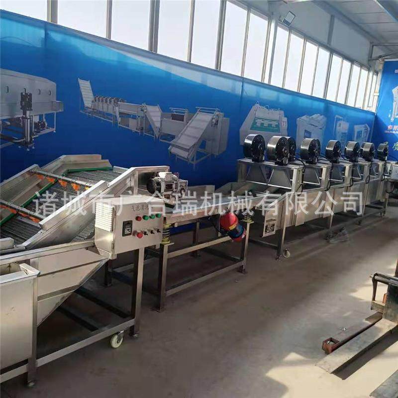 酱菜海带脱盐机山野菜竹笋高压喷淋清洗机全自动果蔬气泡清洗机,淘宝优惠券,粉丝福利购,淘宝优惠卷