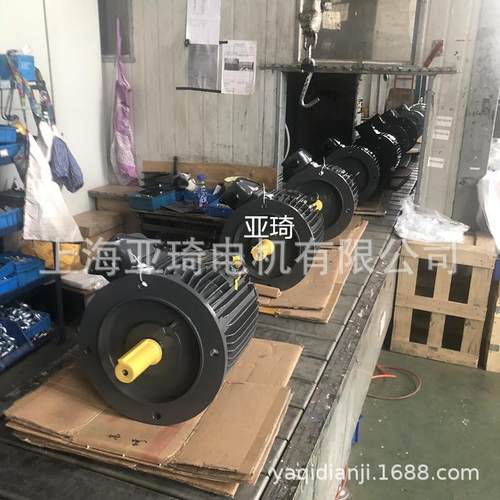 有CSA/SAScsa认证电相机60H0Z480V575V60V三出加拿大的电口机 - 图0