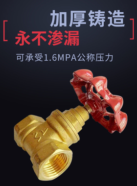 原装新品埃美柯169黄铜闸阀DN15----DN100