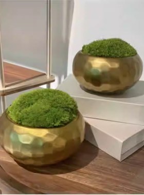 轻奢金属苔藓插花摆件售楼部会所洽L谈桌茶几台面软装饰品