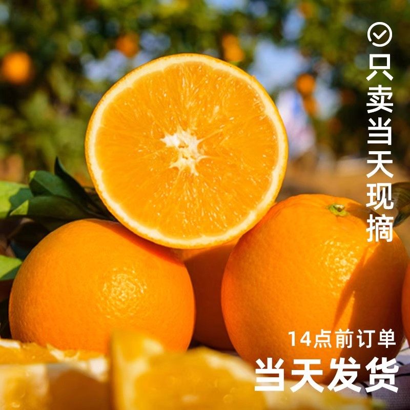 正宗赣南脐橙新鲜橙子当季水果手剥果冻橙子冰糖甜橙大果整箱包邮,淘宝优惠券,粉丝福利购,淘宝优惠卷