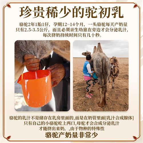驮中驼食品店