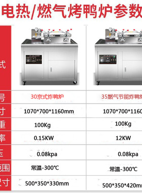 上海丽麦工厂直销连富牌DZL-30型京式炸鸭炉 30L单缸压力炸鸭炉