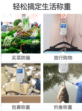 德国手提电子秤高精度家用可携式50kg快递称小秤进口弹簧小型手拿
