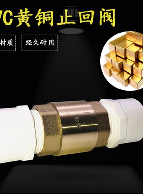 PVC铜止回阀防倒流水泵单向阀立式卧式胶水管止逆阀25 32塑料水管