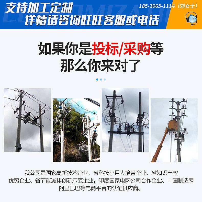 10KV户外高压跌落式熔断器RW12-15-200/100A令克开关保险丝熔断器 - 图1