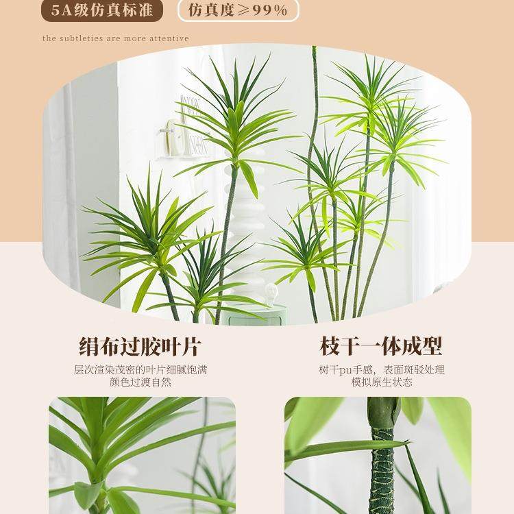 大型玄摆关电视柜地摆件落龙舌兰轻绿植植物10012497盆栽客奢厅装,淘宝优惠券,粉丝福利购,淘宝优惠卷