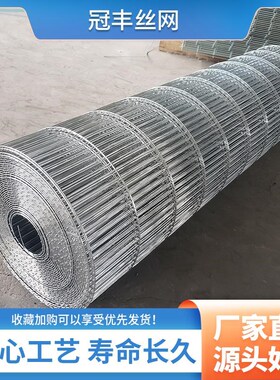 加粗镀锌小长孔电焊网铁丝网片网格丝养殖卷网鸡鸽笼鸟笼阳台垫底