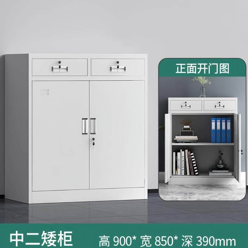 钢制柜文件柜铁皮档案资料收纳财凭证柜带锁抽屉书柜LP-35柜加务,淘宝优惠券,粉丝福利购,淘宝优惠卷