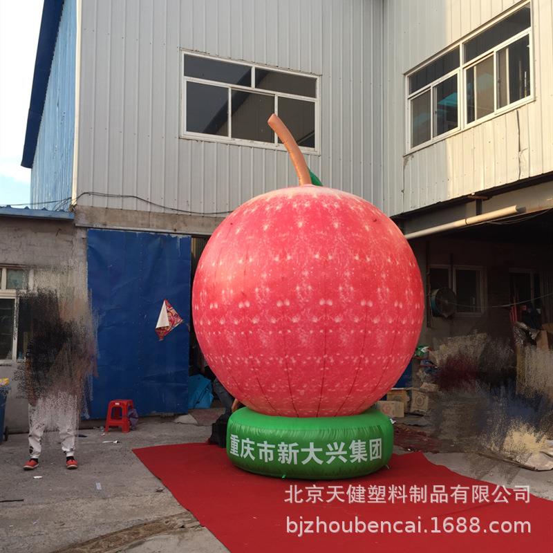 PVC升水果蔬空菜气模充气卷心菜00菜白西瓜桃子茄子真蘑菇仿模型 - 图2