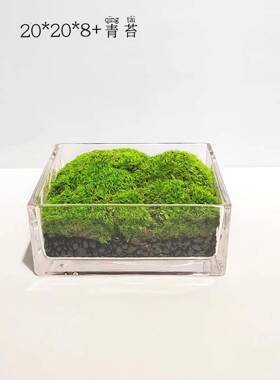 现代简约明缸永透生青苔干花植2008装摆件样板房洽绿谈桌面方设计