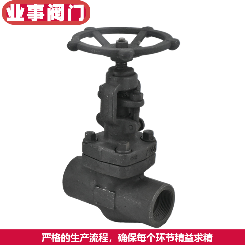 Z11H-16C/25C耐高温蒸汽导热油A105锻钢内螺纹丝扣闸阀DN15 20 25 - 图1