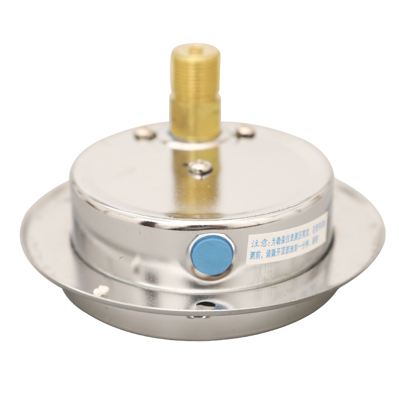 耐震压力表YN100ZT轴向带边表盘压力表气压水压油压液压表名宇 - 图0