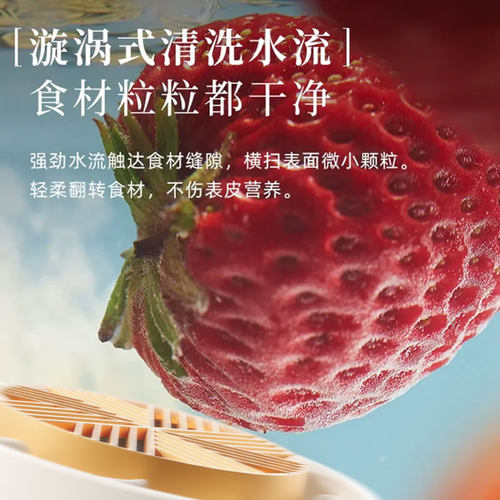 荣泊达超声波果蔬洗车厘子清洗机去农残食材消毒净化器洗菜机神器 - 图2