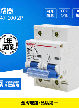DZ47-100小型断路器NC100H大功率保护器家用220V空气开关100A125A