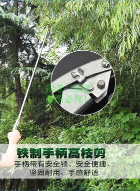 新品高枝剪修枝剪不锈钢剪刀修剪园林疏花稀果剪枝高空剪槐花槐米