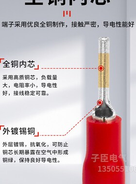 针式接线端子PTV1.25-10/2-10/5.5-13针形端子插针形预绝缘铜端子