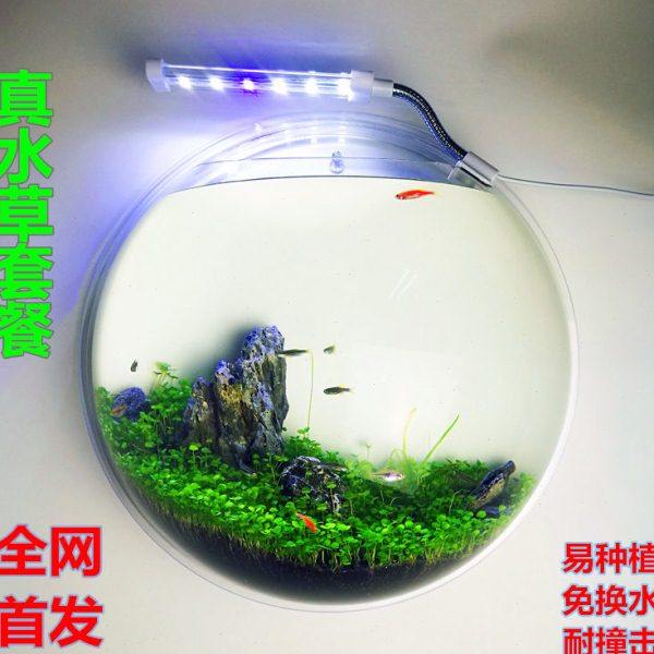 墙饰壁饰壁挂鱼缸花瓶创意家居饰品客厅墙上花盆墙面装饰微景草缸,淘宝优惠券,粉丝福利购,淘宝优惠卷