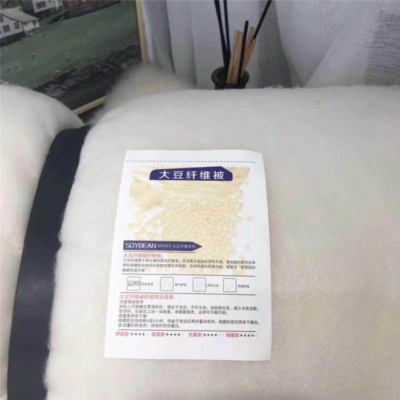 提花大豆纤维被春秋被芯羽丝绒冬被子单人四季子母被夏被透气舒适,淘宝优惠券,粉丝福利购,淘宝优惠卷