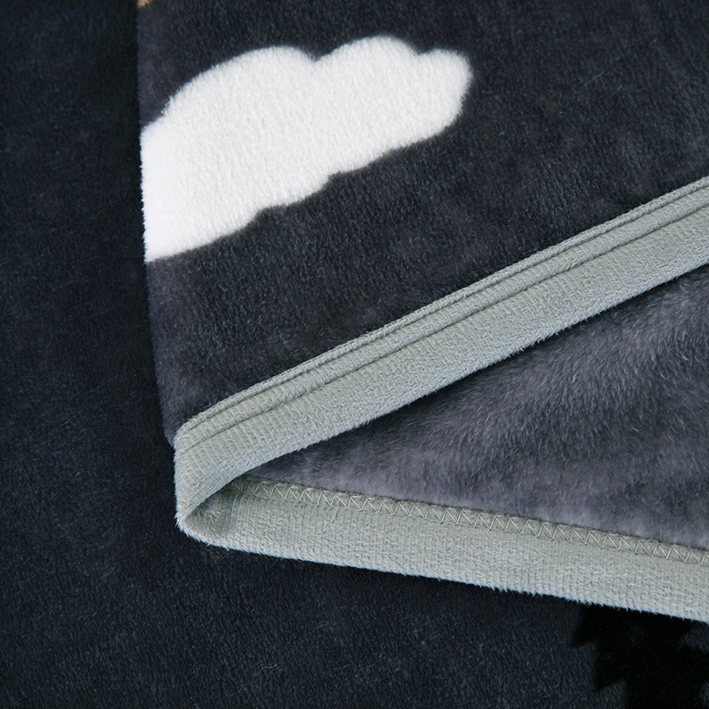 珊瑚绒毯子铺床加绒床单人宿舍y办公室午睡毯法兰绒小毛毯加厚冬 - 图2