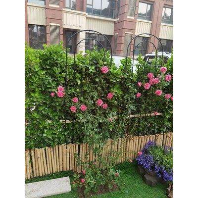 攀爬花架铁艺花盆庭院网格月季爬藤铁线莲月季支架子花园屏风户外,淘宝优惠券,粉丝福利购,淘宝优惠卷