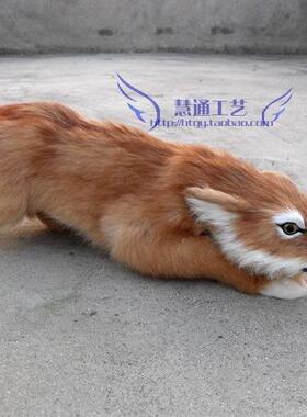狸VMQ真狐摆件仿摄影具仿道真动物模型狐狸