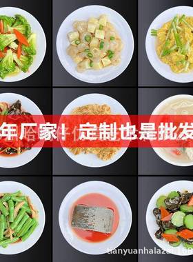 仿真食食品模型餐溜土SPY豆丝炒菜样品菜中品美物食醋菜肴展示假