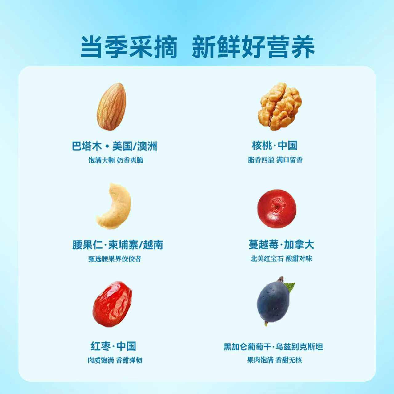 洽洽小蓝袋每日坚果益生菌2025新货恰恰独立小包装混合坚果健康