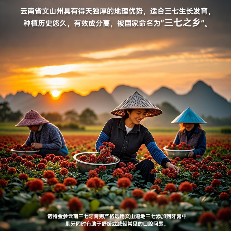 云南三七牙膏持久清新抑制牙菌斑去口臭清火气商超同款大支装210g