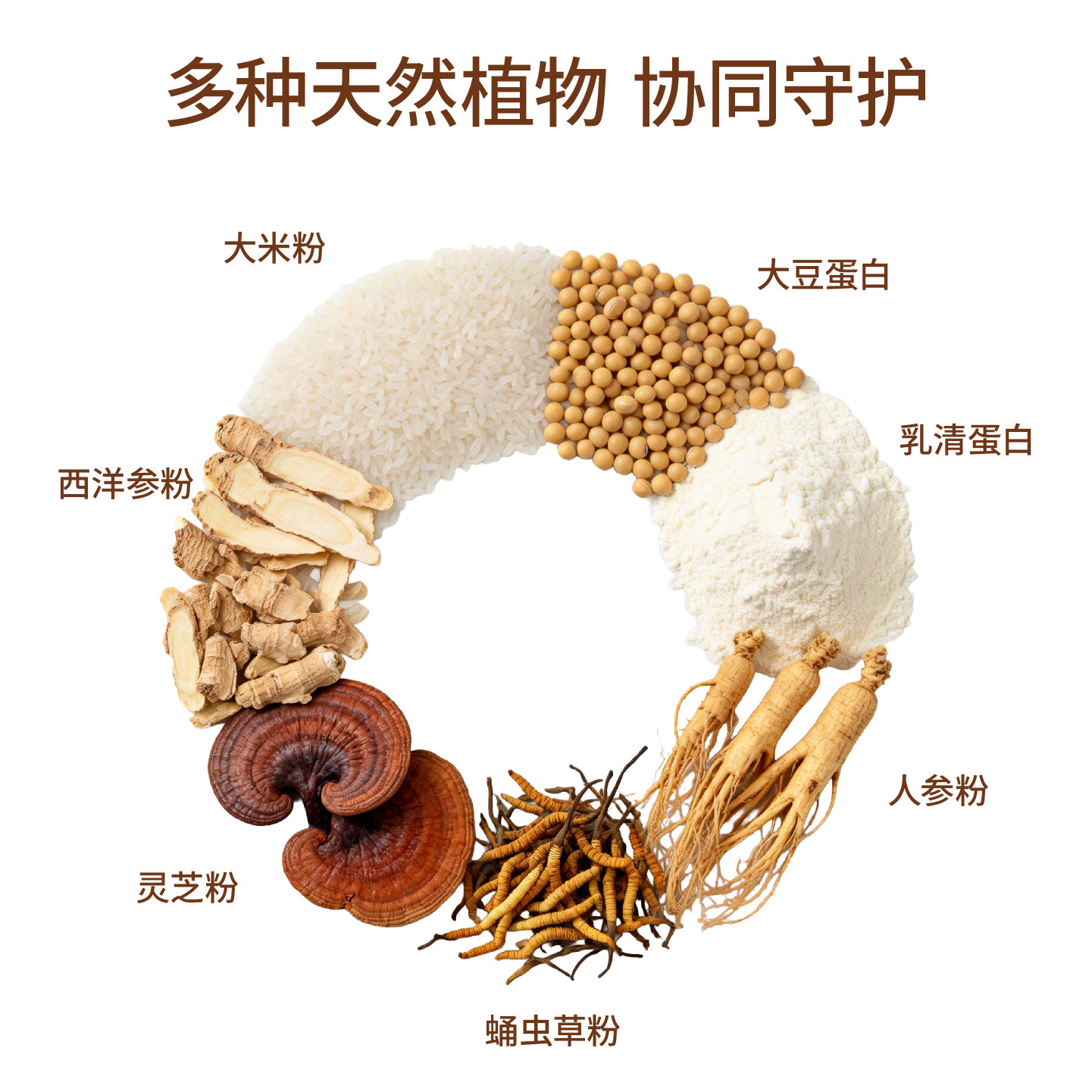 瑞健利康双参灵芝高钙蛋白粉中老年人补充营养提高免疫脱脂乳粉