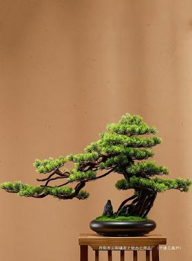 客盆景绿植盆栽松客厅电视柜玄关迎办公室家居装饰ZX-125新中式摆