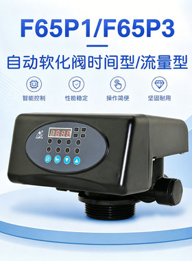 润新全自动树脂滤料过软化