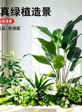 设计师款仿真绿植软装高端轻奢仿生植物造景组合餐饮店假绿植装饰