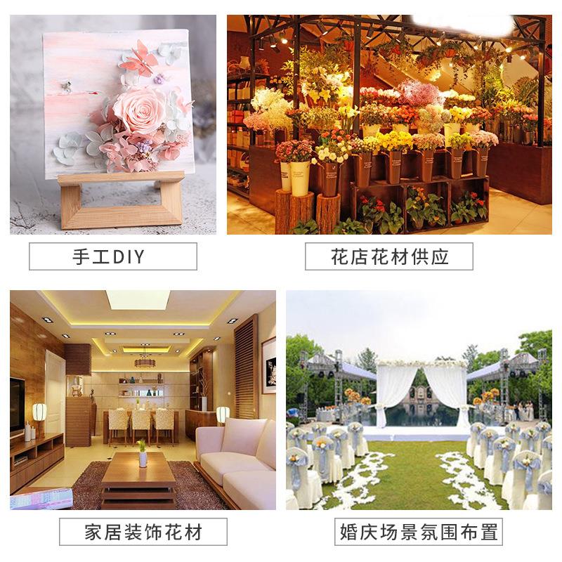 永生花木绣球 手工diy制作干花材料婚庆布置小叶绣球干花安娜绣球 - 图1