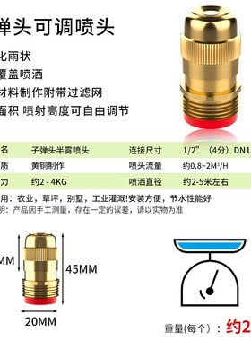 4分可调节铜喷头工地除尘雾化屋顶降温园艺喷灌草坪洒水喷淋喷嘴